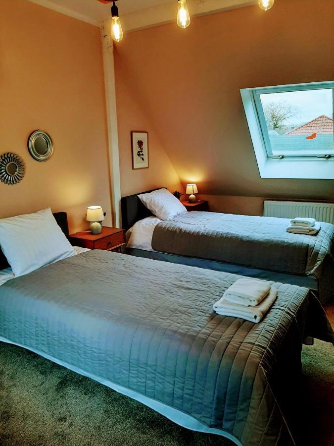 زيلونا غورا Drzewna Apartamenty - Kupiecka 5 المظهر الخارجي الصورة